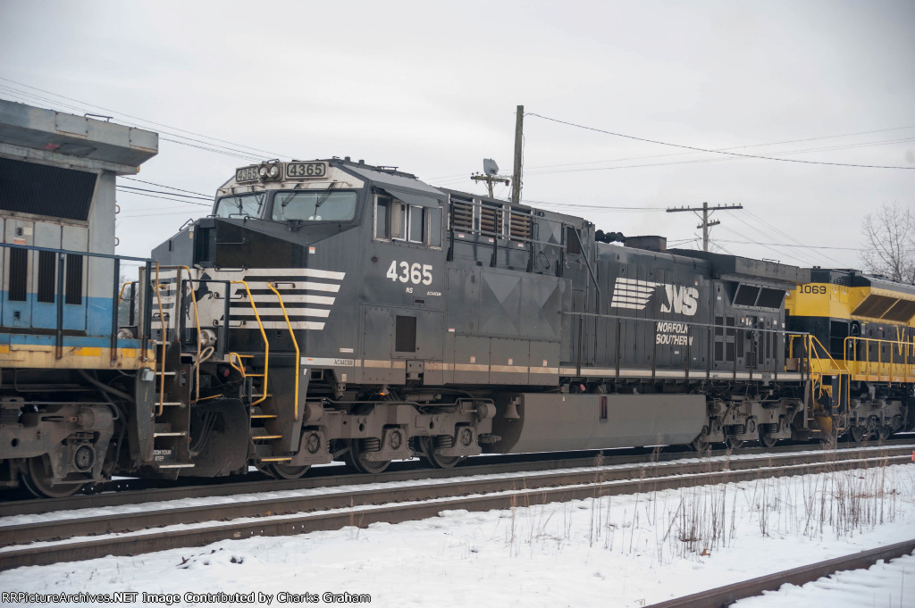 NS 4365